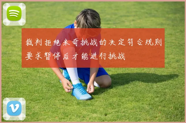 裁判拒绝米奇挑战的决定符合规则要求暂停后才能进行挑战