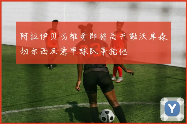 阿拉伊贝戈维奇即将离开勒沃库森切尔西及意甲球队争抢他